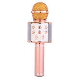 WS-858 Bluetooth speaker microphone with karaoke and voice recording capabilities