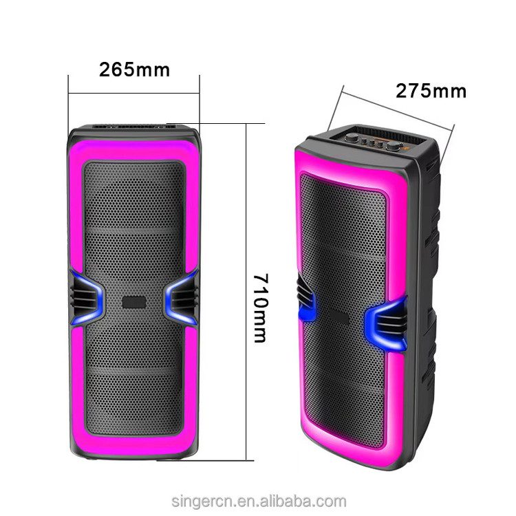 اسپیکر پارتی RGB